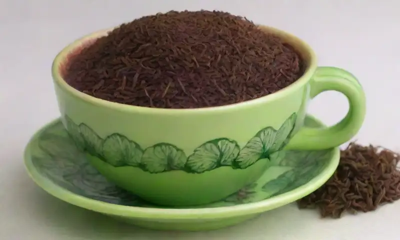 Un dibujo de una taza humeante con detalles intrincados y una paleta de colores armoniosa