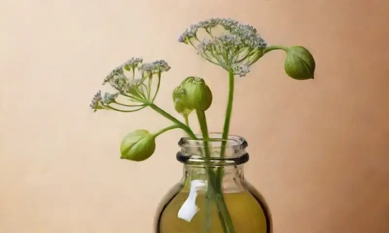 Composición armónica de valeriana con plantas, botellas y vapor que evoca tranquilidad
