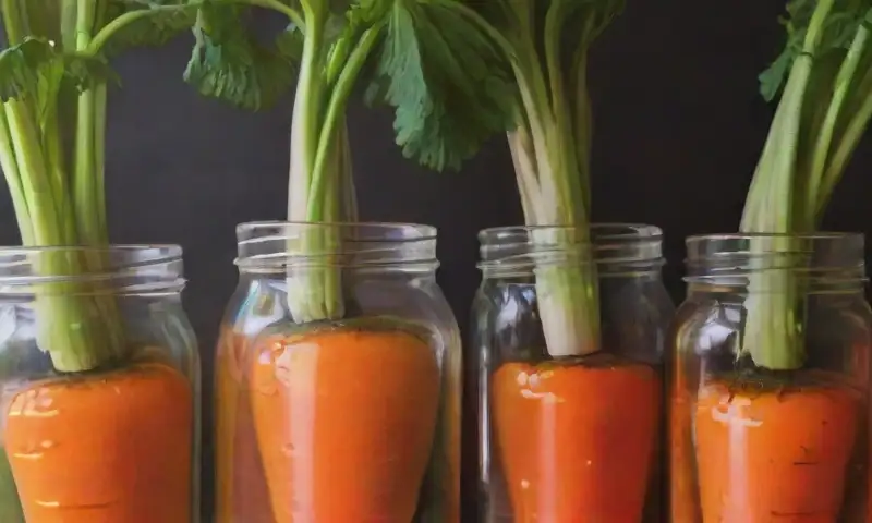Zanahorias vibrantes con tonos naranjas brillantes y un fondo suave iluminado