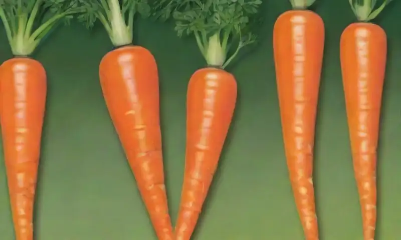 Carrots naranjas vibrantes con jarra de vidrio y jarabe crean una atmósfera acogedora